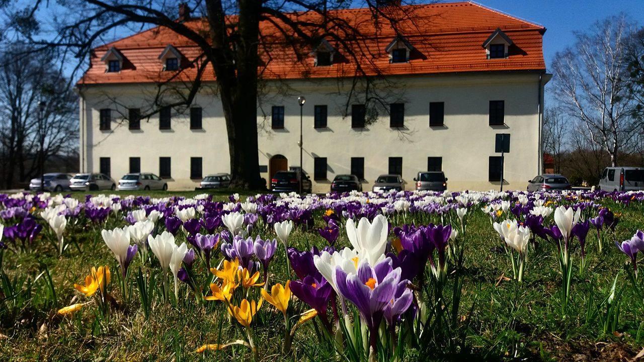 Hotel Zámek Havířov Exterior foto